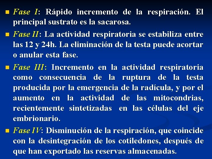 n n Fase I: Rápido incremento de la respiración. El principal sustrato es la