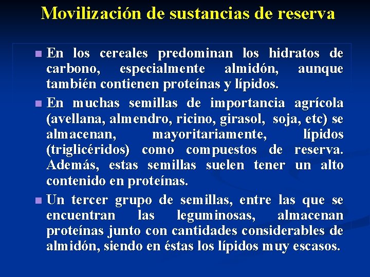 Movilización de sustancias de reserva En los cereales predominan los hidratos de carbono, especialmente