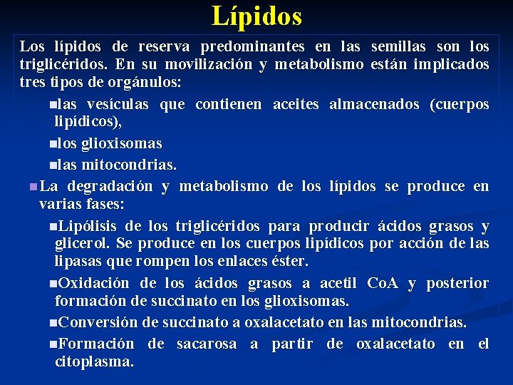 Lípidos Los lípidos de reserva predominantes en las semillas son los triglicéridos. En su
