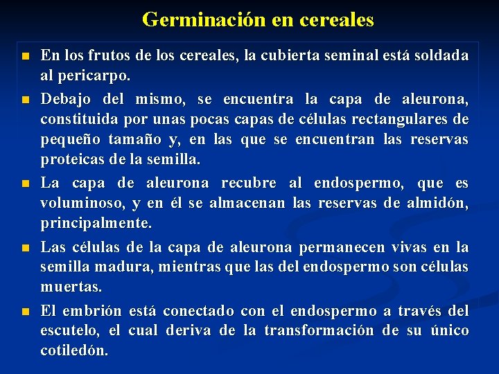 Germinación en cereales n n n En los frutos de los cereales, la cubierta