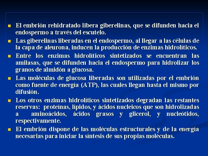 n n n El embrión rehidratado libera giberelinas, que se difunden hacia el endospermo