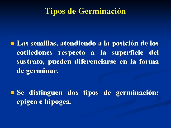 Tipos de Germinación n Las semillas, atendiendo a la posición de los cotiledones respecto