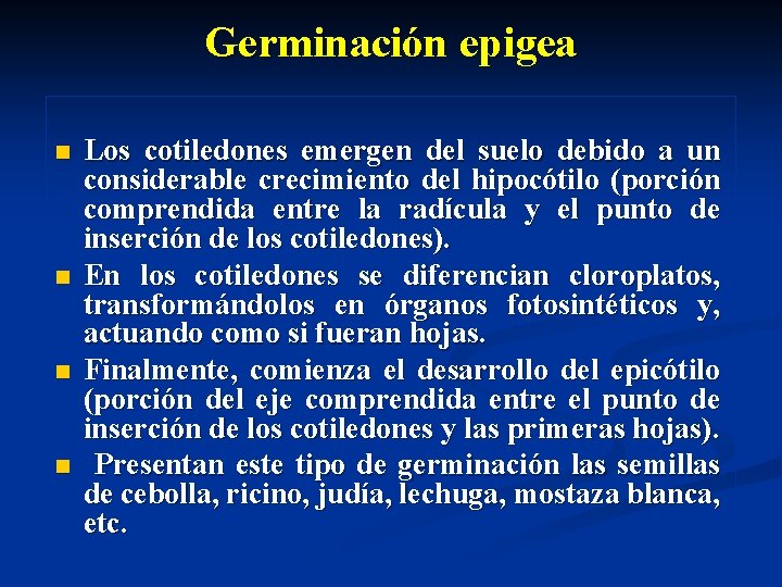 Germinación epigea n n Los cotiledones emergen del suelo debido a un considerable crecimiento