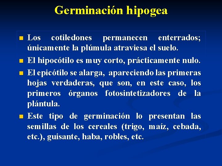 Germinación hipogea n n Los cotiledones permanecen enterrados; únicamente la plúmula atraviesa el suelo.