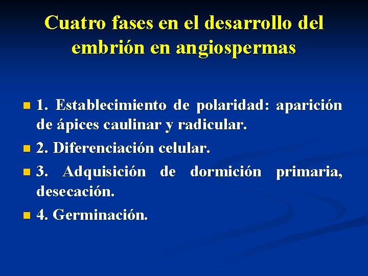 Cuatro fases en el desarrollo del embrión en angiospermas 1. Establecimiento de polaridad: aparición