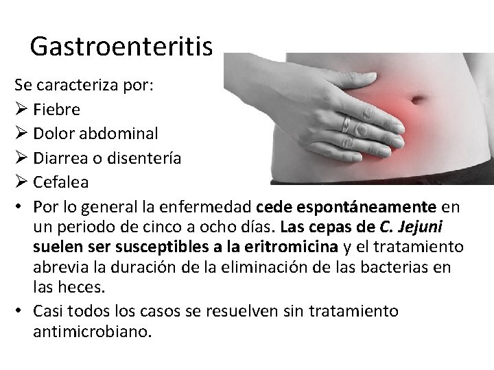 Gastroenteritis Se caracteriza por: Ø Fiebre Ø Dolor abdominal Ø Diarrea o disentería Ø