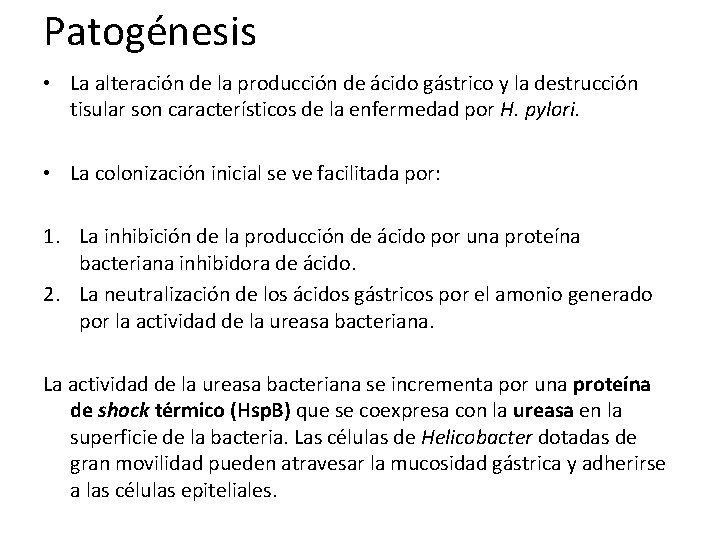 Patogénesis • La alteración de la producción de ácido gástrico y la destrucción tisular