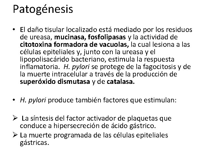 Patogénesis • El daño tisular localizado está mediado por los residuos de ureasa, mucinasa,