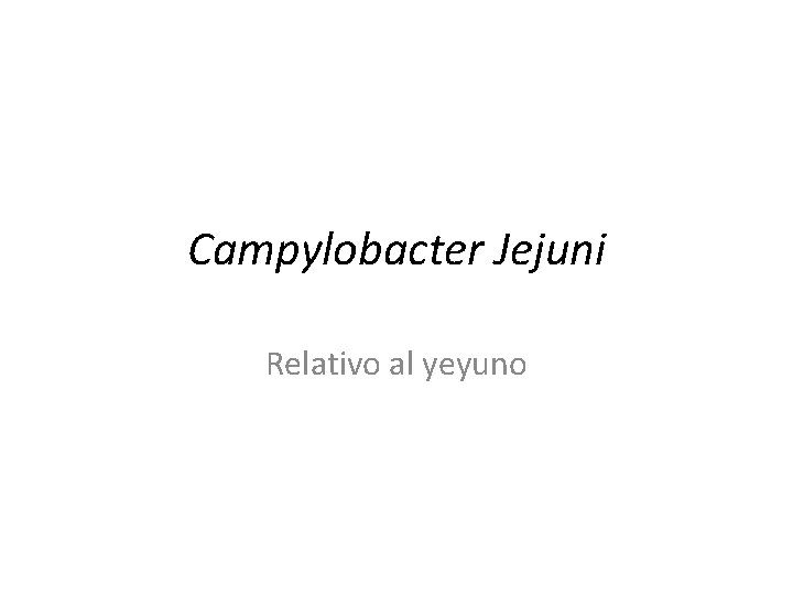 Campylobacter Jejuni Relativo al yeyuno 