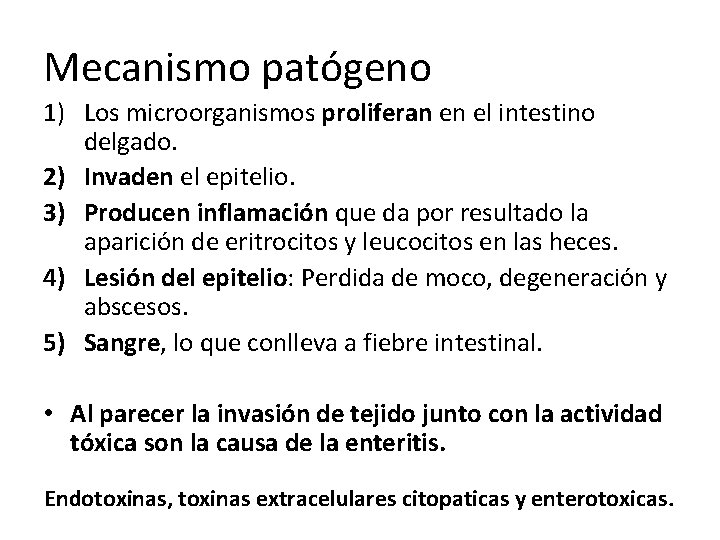 Mecanismo patógeno 1) Los microorganismos proliferan en el intestino delgado. 2) Invaden el epitelio.