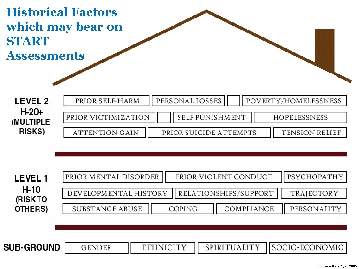 Historical Factors which may bear on START Assessments © Carla Dassinger, 2005 
