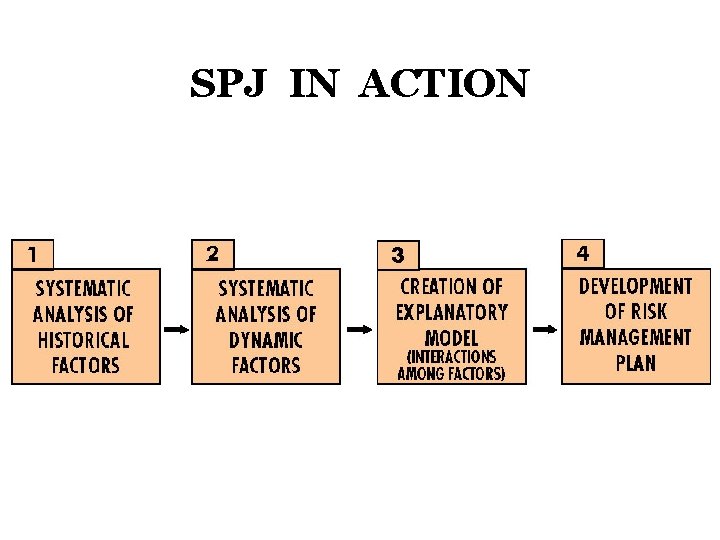 SPJ IN ACTION 