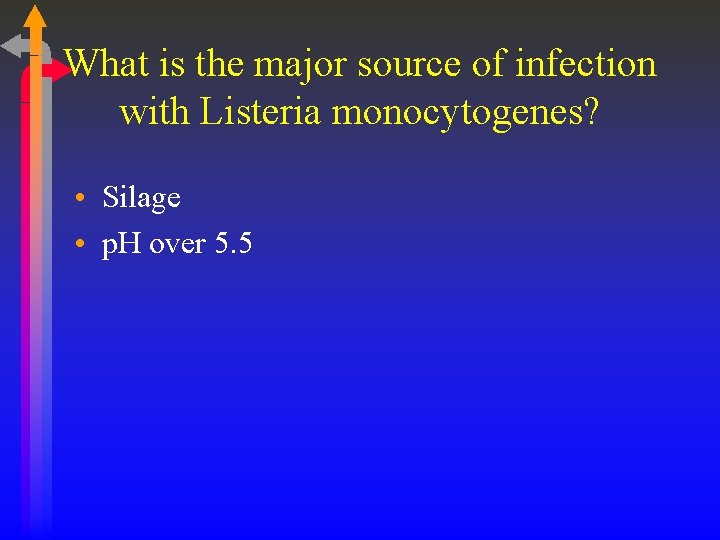 What is the major source of infection with Listeria monocytogenes? • Silage • p.