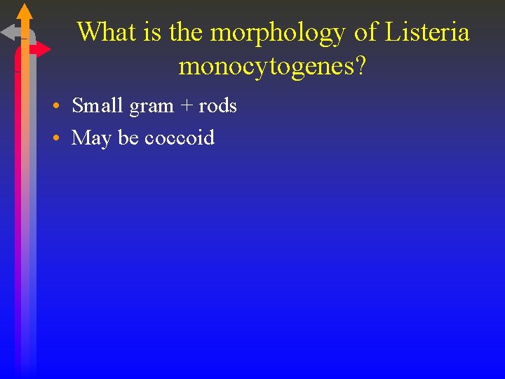 What is the morphology of Listeria monocytogenes? • Small gram + rods • May