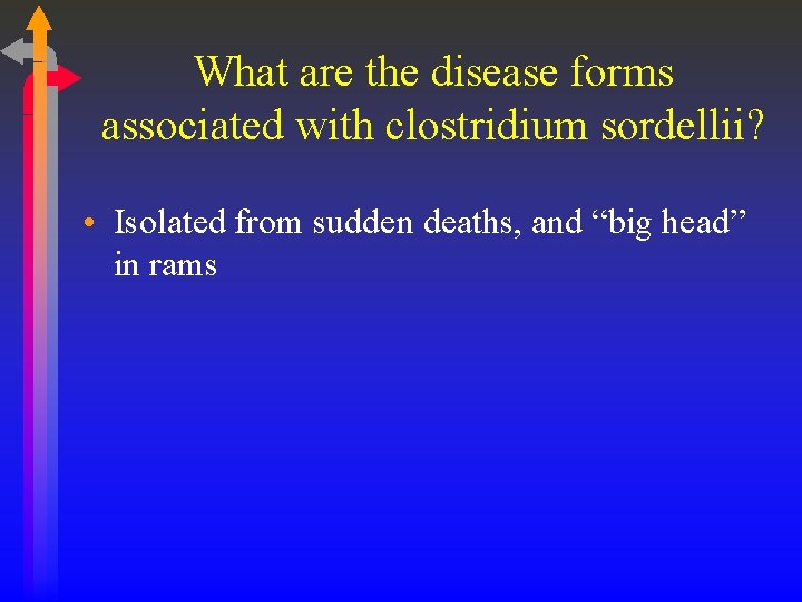What are the disease forms associated with clostridium sordellii? • Isolated from sudden deaths,