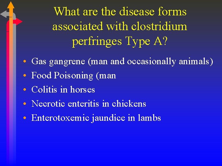 What are the disease forms associated with clostridium perfringes Type A? • • •