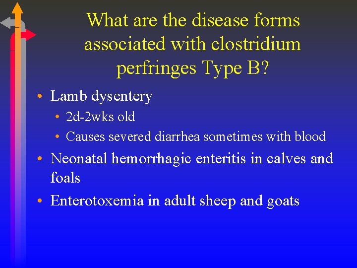 What are the disease forms associated with clostridium perfringes Type B? • Lamb dysentery