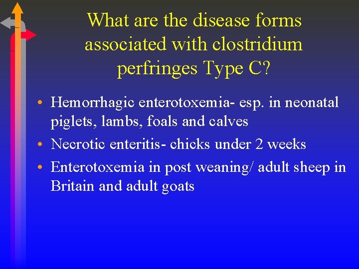What are the disease forms associated with clostridium perfringes Type C? • Hemorrhagic enterotoxemia-