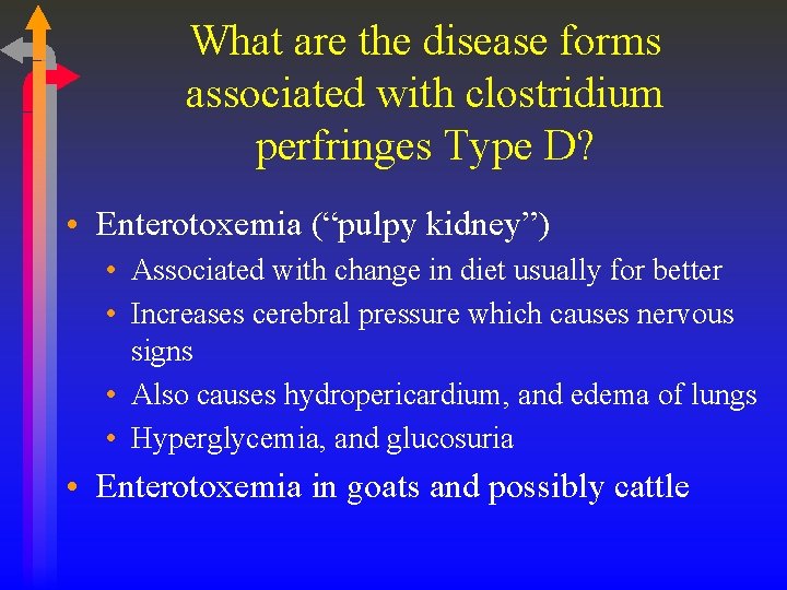 What are the disease forms associated with clostridium perfringes Type D? • Enterotoxemia (“pulpy