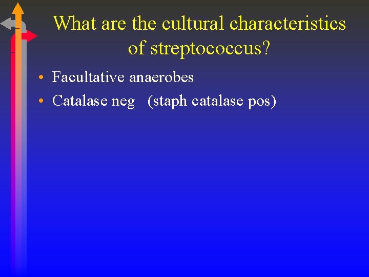 What are the cultural characteristics of streptococcus? • Facultative anaerobes • Catalase neg (staph