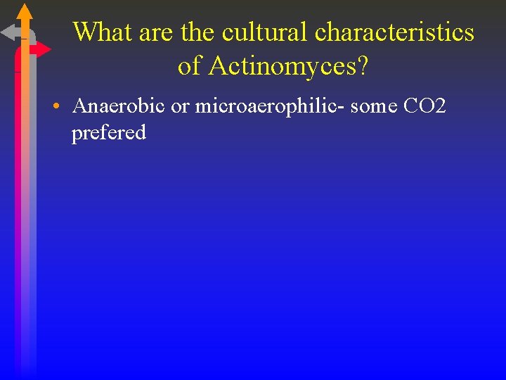 What are the cultural characteristics of Actinomyces? • Anaerobic or microaerophilic- some CO 2
