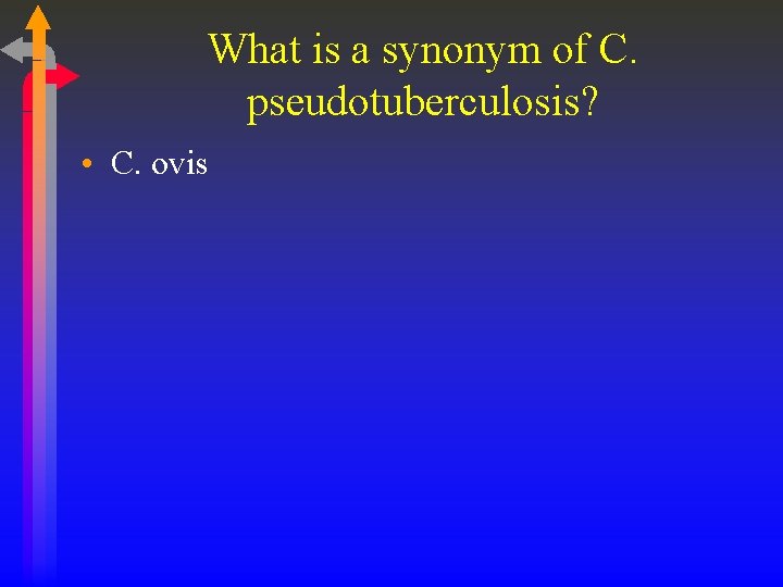 What is a synonym of C. pseudotuberculosis? • C. ovis 