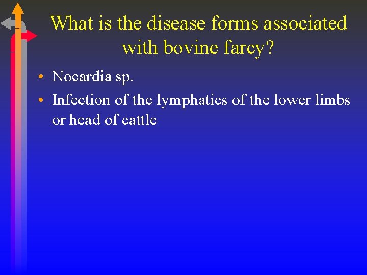 What is the disease forms associated with bovine farcy? • Nocardia sp. • Infection