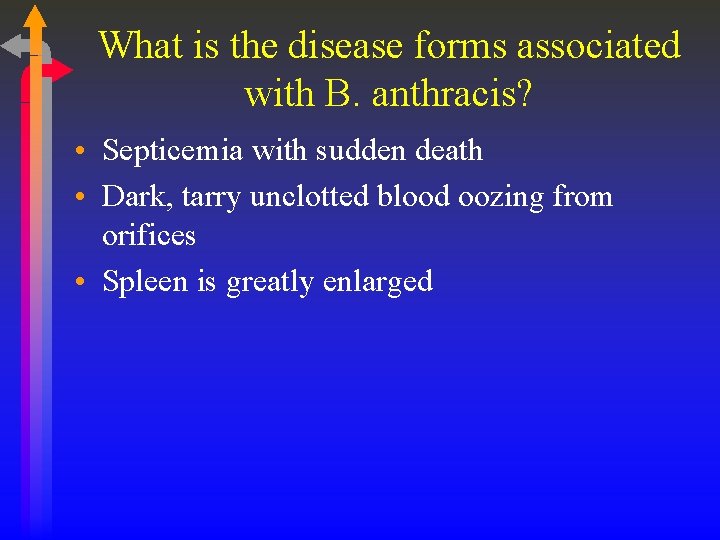 What is the disease forms associated with B. anthracis? • Septicemia with sudden death
