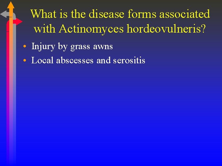 What is the disease forms associated with Actinomyces hordeovulneris? • Injury by grass awns