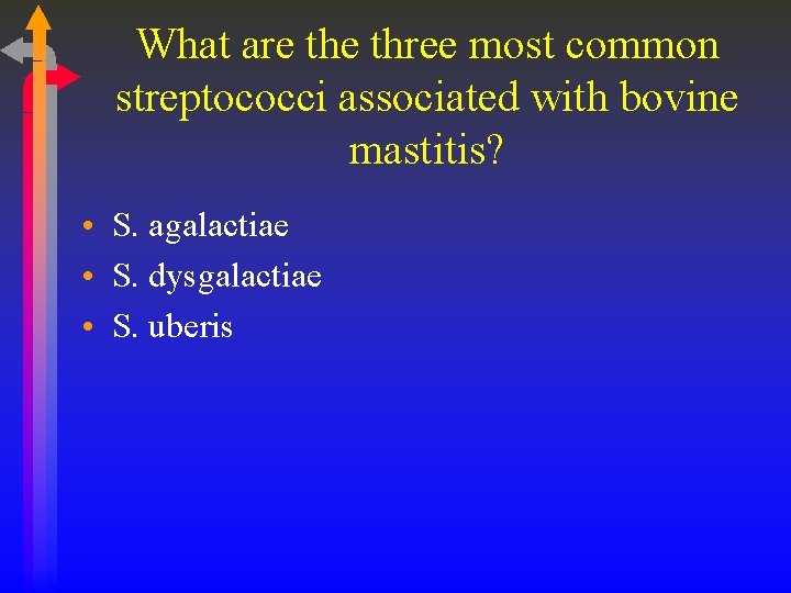 What are three most common streptococci associated with bovine mastitis? • S. agalactiae •