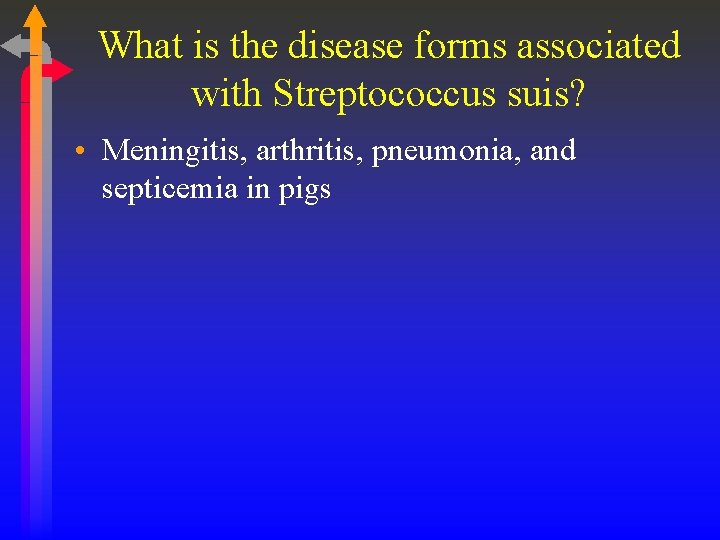 What is the disease forms associated with Streptococcus suis? • Meningitis, arthritis, pneumonia, and