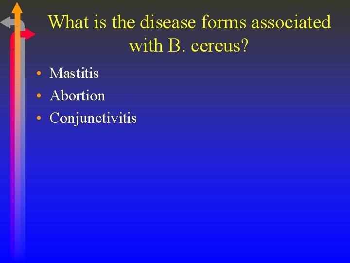 What is the disease forms associated with B. cereus? • Mastitis • Abortion •