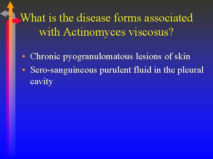 What is the disease forms associated with Actinomyces viscosus? • Chronic pyogranulomatous lesions of