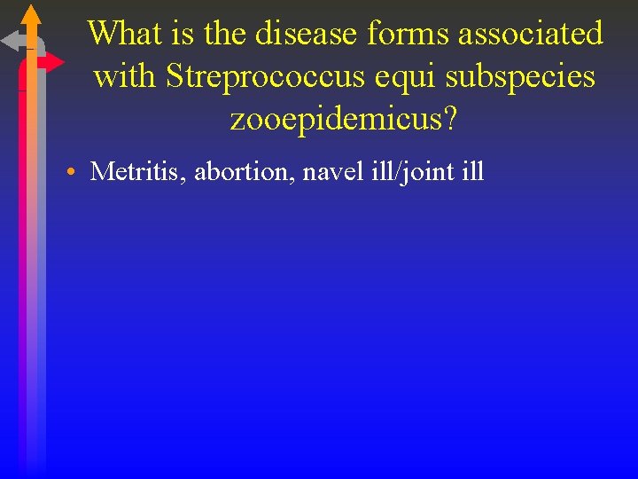 What is the disease forms associated with Streprococcus equi subspecies zooepidemicus? • Metritis, abortion,