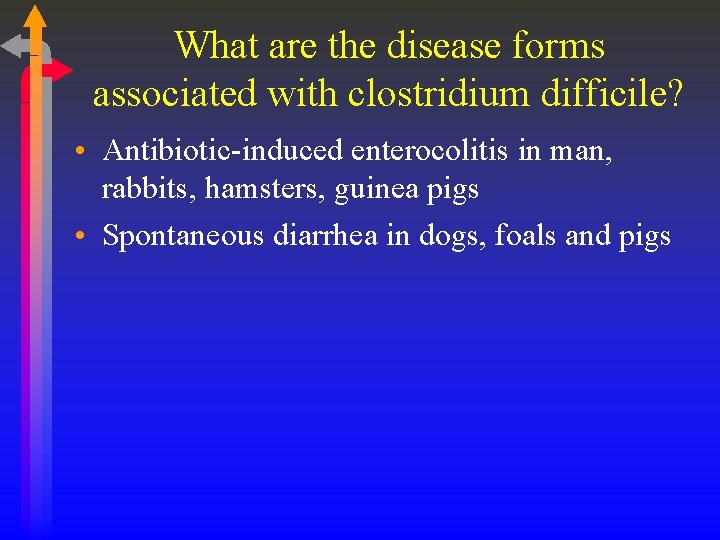 What are the disease forms associated with clostridium difficile? • Antibiotic-induced enterocolitis in man,