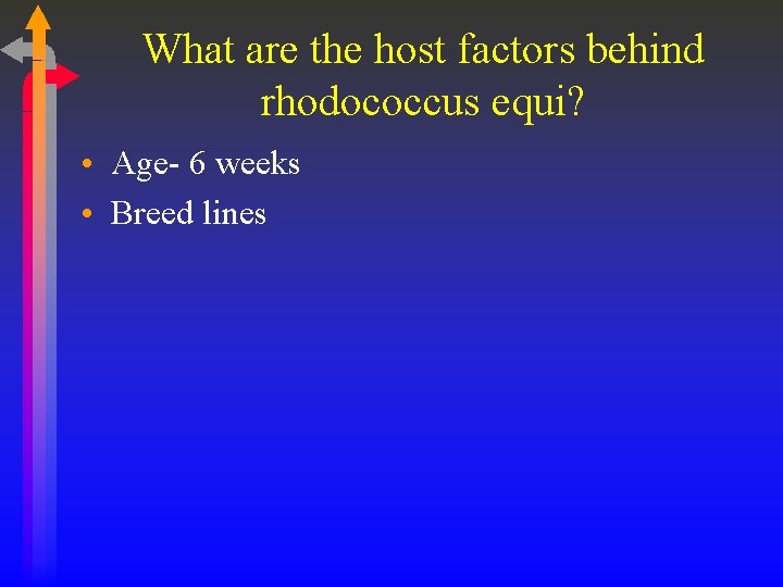 What are the host factors behind rhodococcus equi? • Age- 6 weeks • Breed