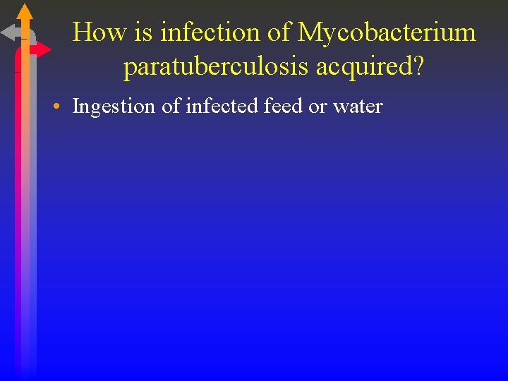 How is infection of Mycobacterium paratuberculosis acquired? • Ingestion of infected feed or water