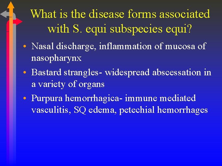 What is the disease forms associated with S. equi subspecies equi? • Nasal discharge,