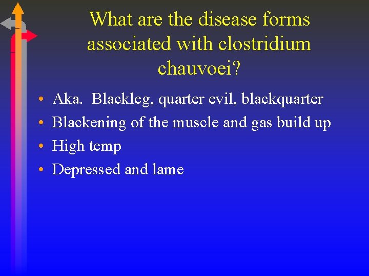 What are the disease forms associated with clostridium chauvoei? • • Aka. Blackleg, quarter