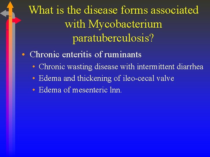 What is the disease forms associated with Mycobacterium paratuberculosis? • Chronic enteritis of ruminants
