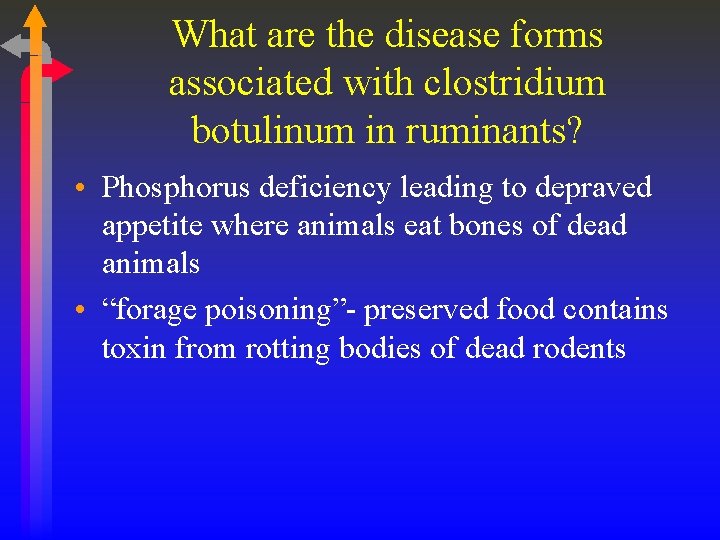 What are the disease forms associated with clostridium botulinum in ruminants? • Phosphorus deficiency