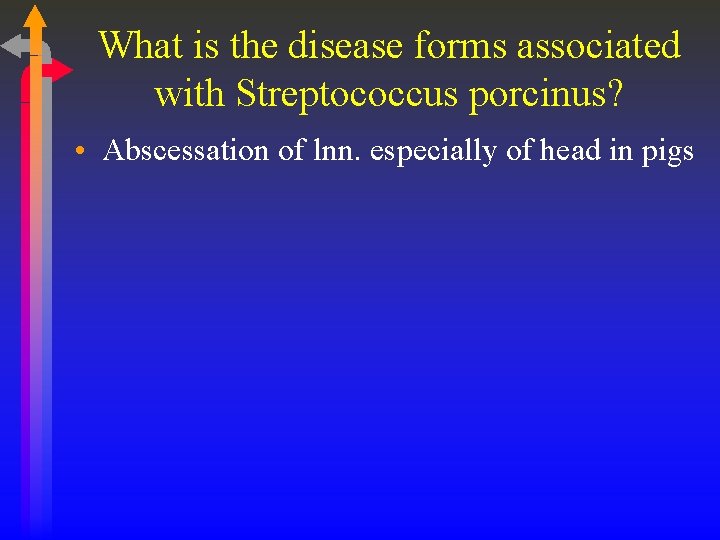 What is the disease forms associated with Streptococcus porcinus? • Abscessation of lnn. especially