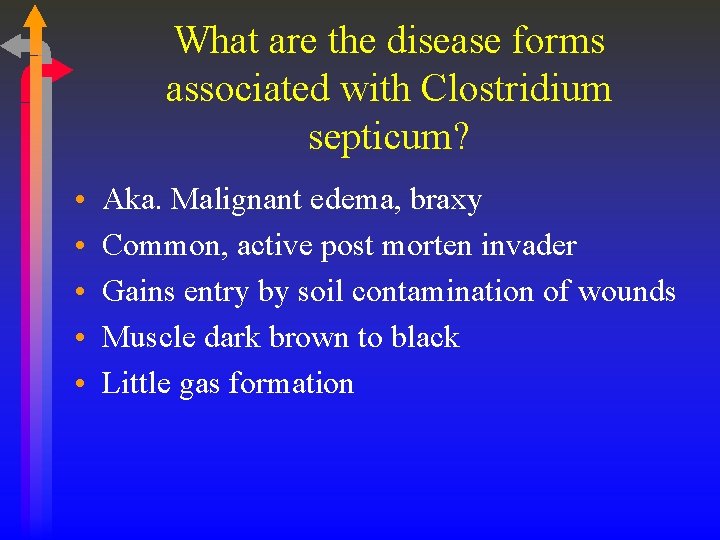 What are the disease forms associated with Clostridium septicum? • • • Aka. Malignant