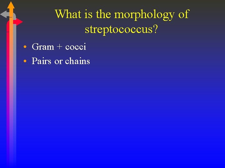 What is the morphology of streptococcus? • Gram + cocci • Pairs or chains