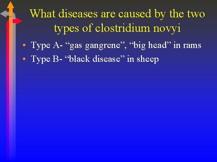 What diseases are caused by the two types of clostridium novyi • Type A-