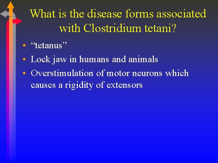 What is the disease forms associated with Clostridium tetani? • “tetanus” • Lock jaw