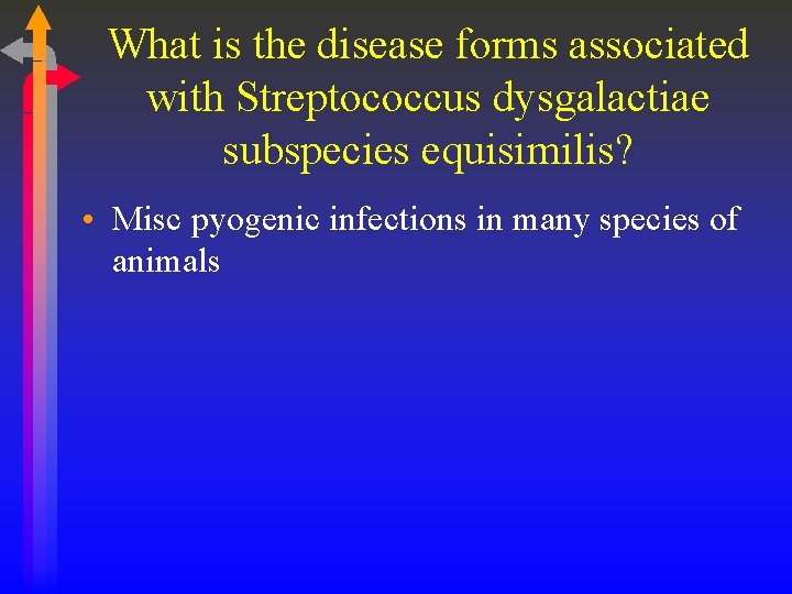 What is the disease forms associated with Streptococcus dysgalactiae subspecies equisimilis? • Misc pyogenic