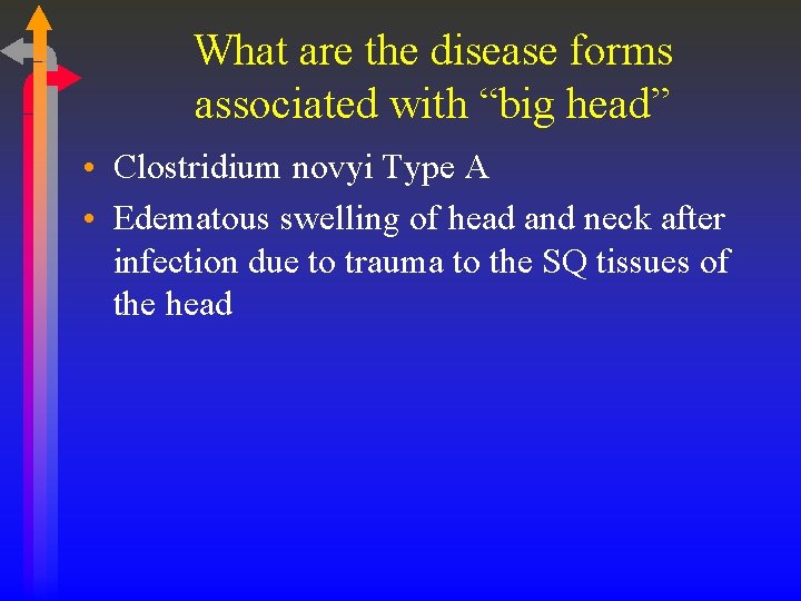 What are the disease forms associated with “big head” • Clostridium novyi Type A