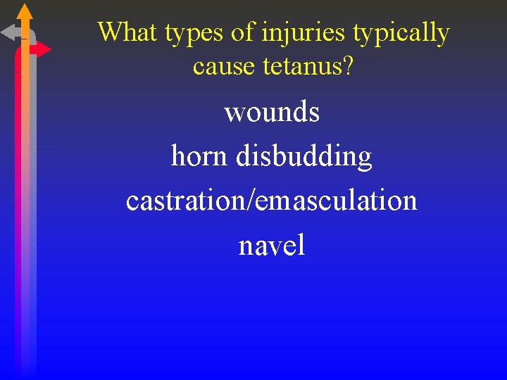 What types of injuries typically cause tetanus? wounds horn disbudding castration/emasculation navel 