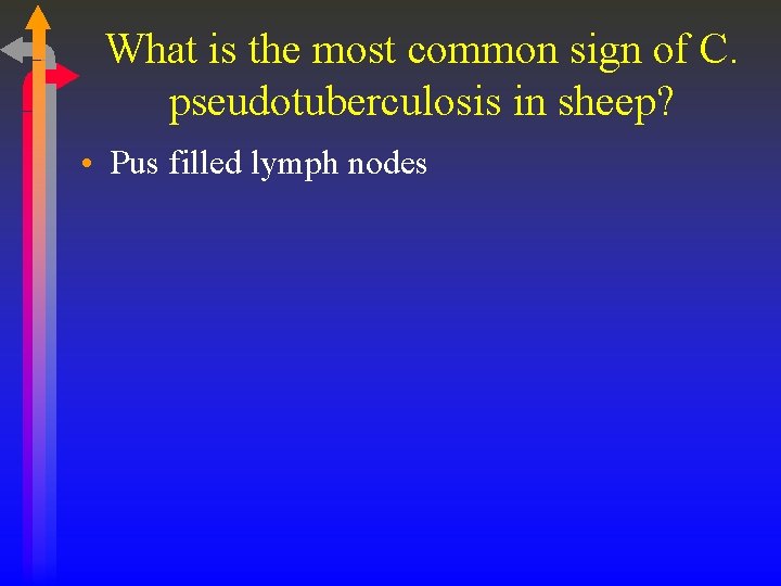 What is the most common sign of C. pseudotuberculosis in sheep? • Pus filled